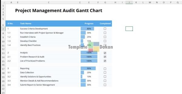 Project Management Audit Gantt Chart